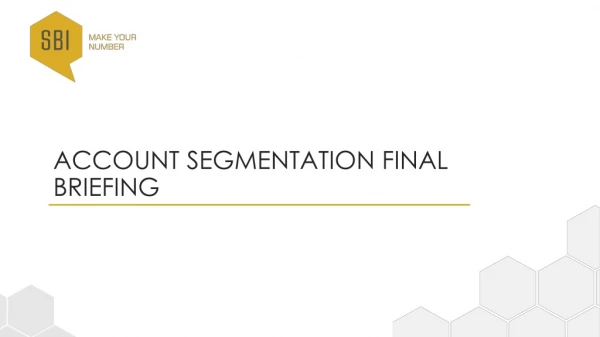 Account Segmentation Final Briefing