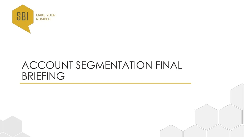 account segmentation final briefing