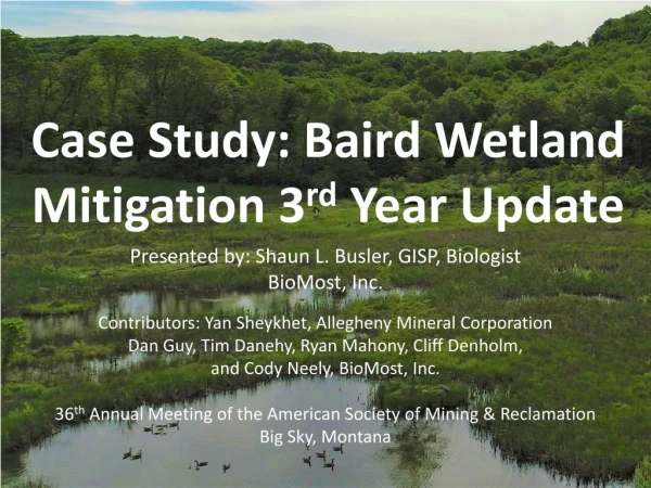 Case Study: Baird Wetland Mitigation 3 rd Year Update