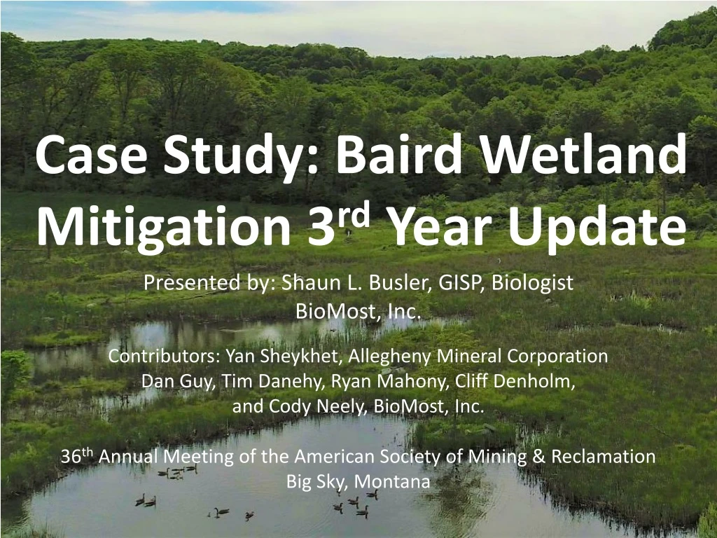 case study baird wetland mitigation 3 rd year update
