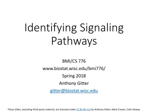 Identifying Signaling Pathways