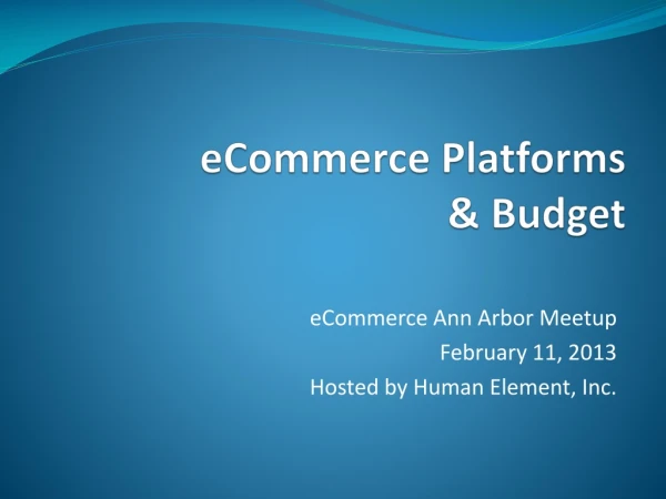eCommerce Platforms &amp; Budget