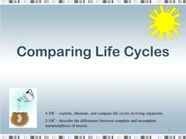 Comparing Life Cycles