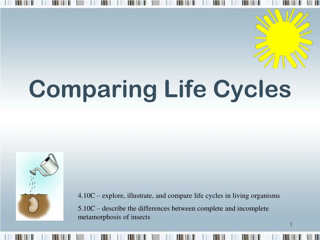 comparing life cycles