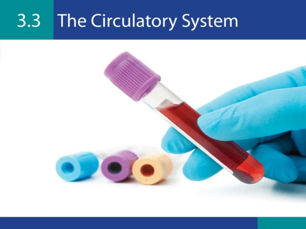 At the end of this unit you should: Be able to list the parts of the circulatory system.