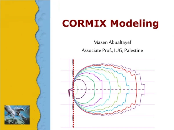 CORMIX Modeling