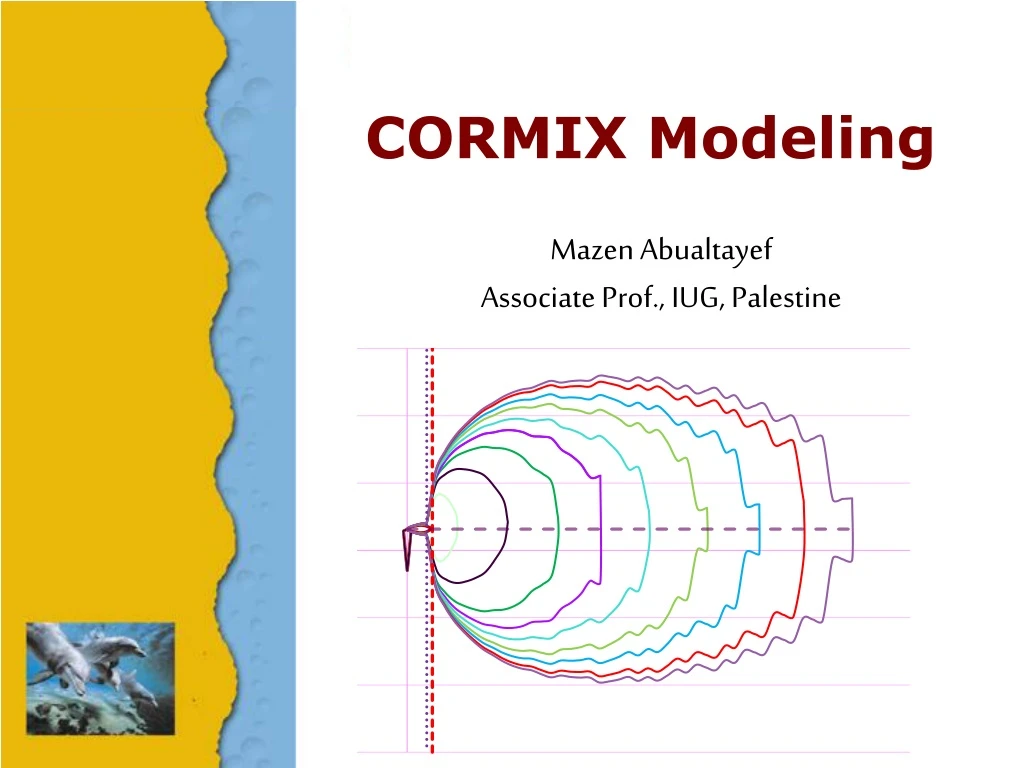 cormix modeling