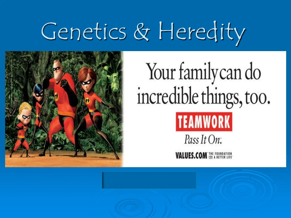 genetics heredity