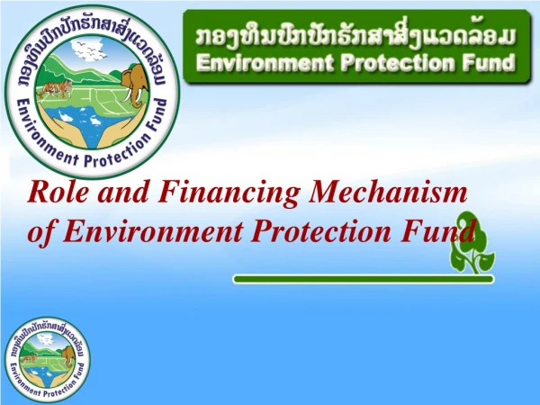 Role and Financing Mechanism of Environment Protection Fund