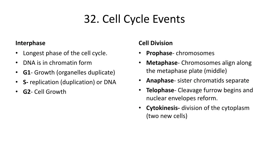 32 cell cycle events