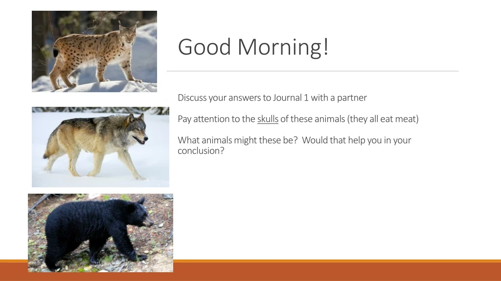 good morning discuss your answers to journal