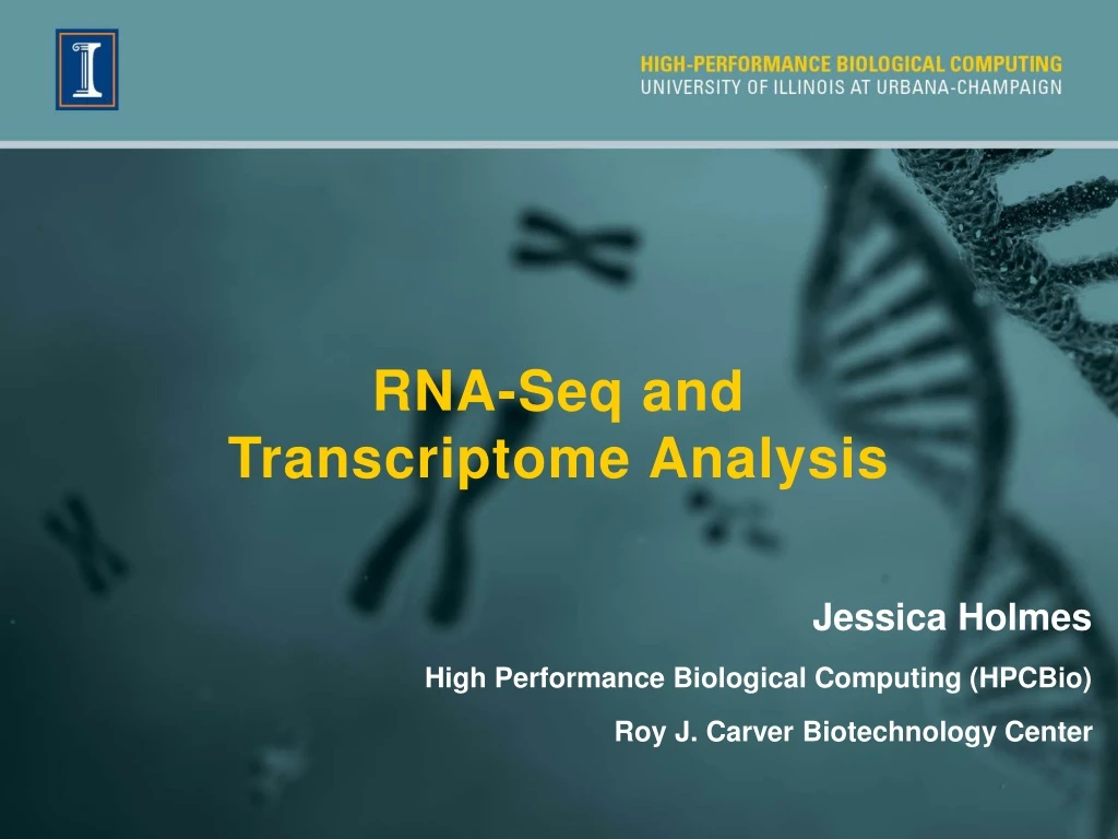 rna seq and transcriptome analysis