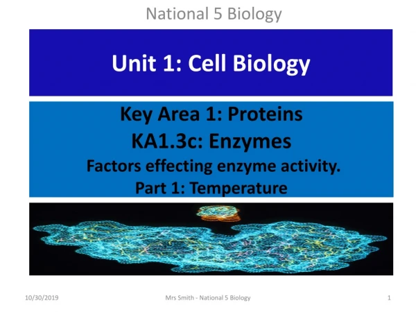 Key Area 1: Proteins KA1.3c: Enzymes Factors effecting enzyme activity. Part 1: Temperature