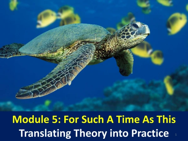 Module 5: For Such A Time As This Translating Theory into Practice