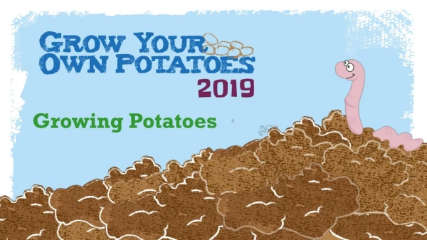 Growing Potatoes