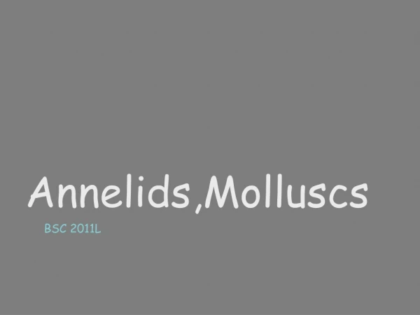 Annelids, Molluscs