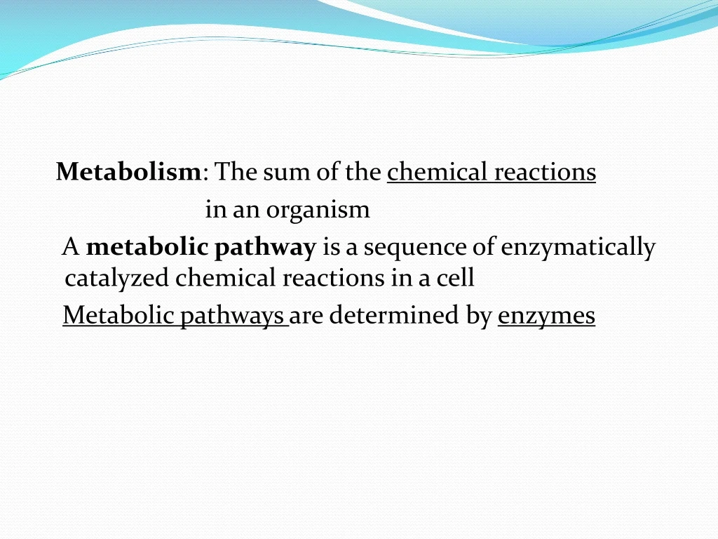 metabolism the sum of the chemical reactions