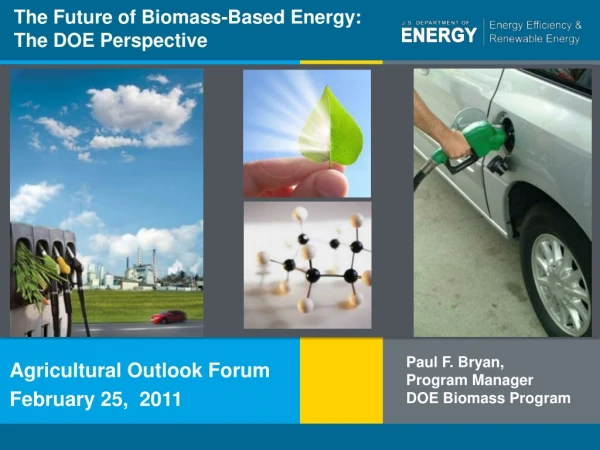 The Future of Biomass-Based Energy: The DOE Perspective