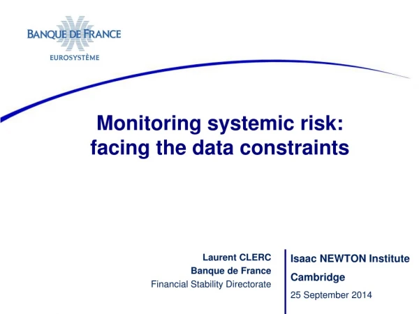 Monitoring systemic risk: facing the data constraints