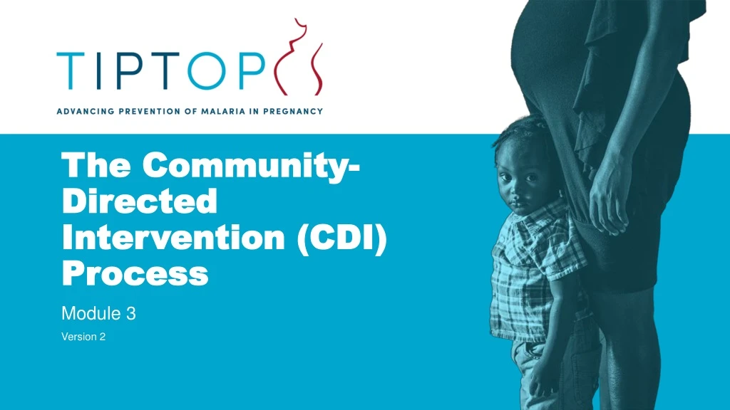 the community directed intervention cdi process