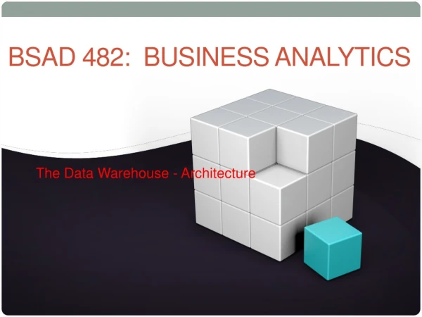 BSAD 482: Business Analytics