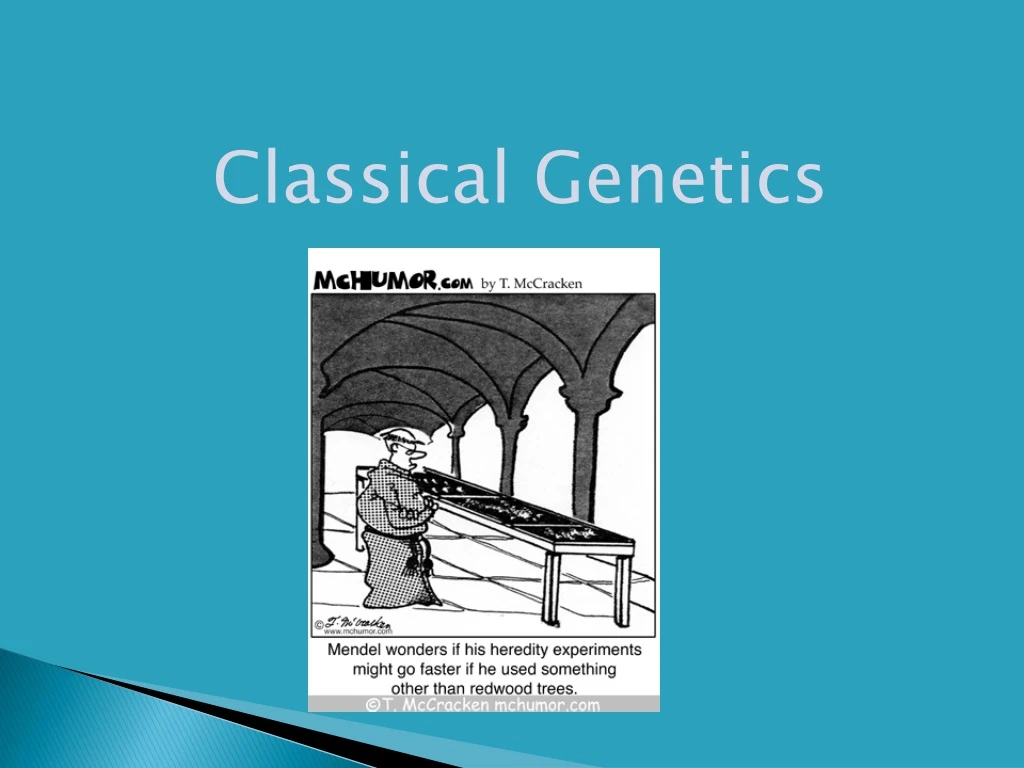 classical genetics