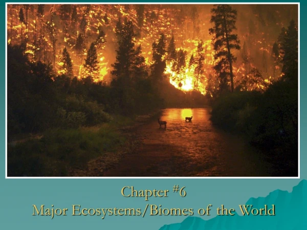 Chapter # 6 Major Ecosystems/Biomes of the World