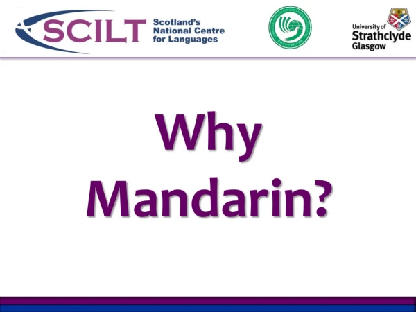 Why Mandarin?