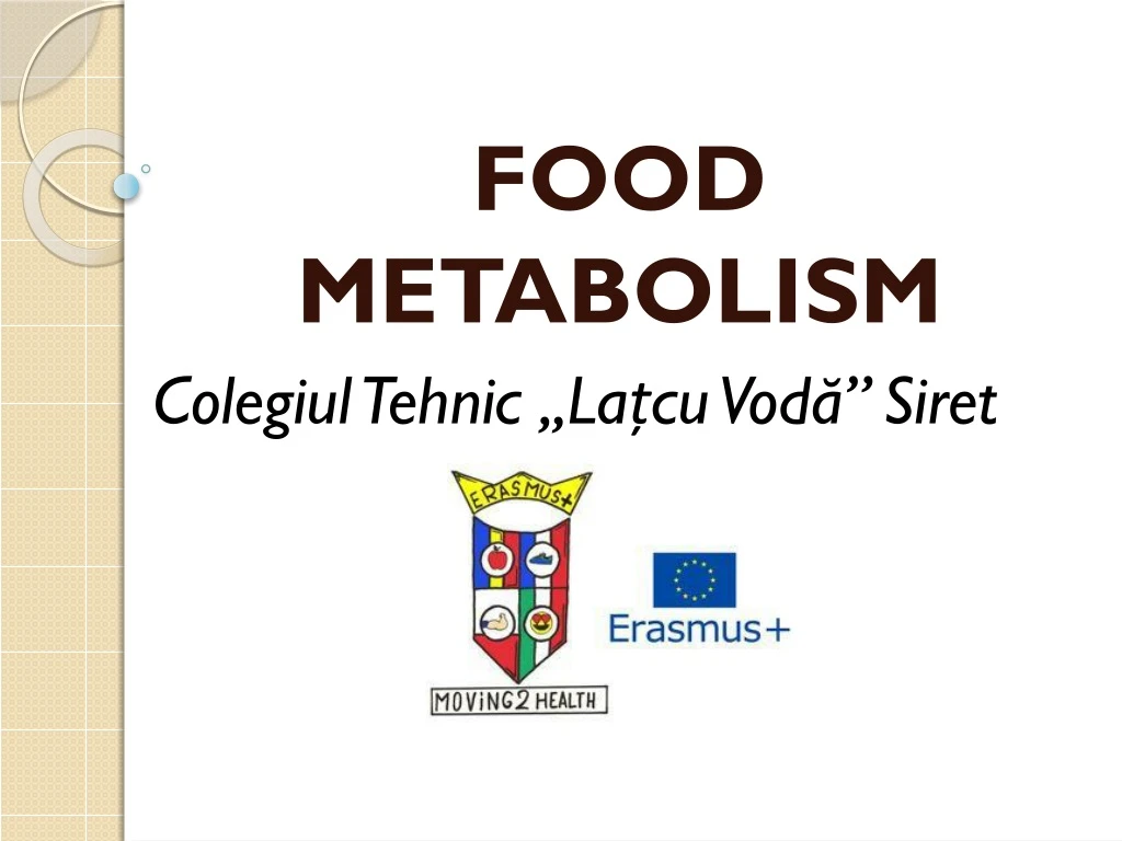 food metabolism