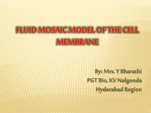 FLUID MOSAIC MODEL OF THE CELL MEMBRANE