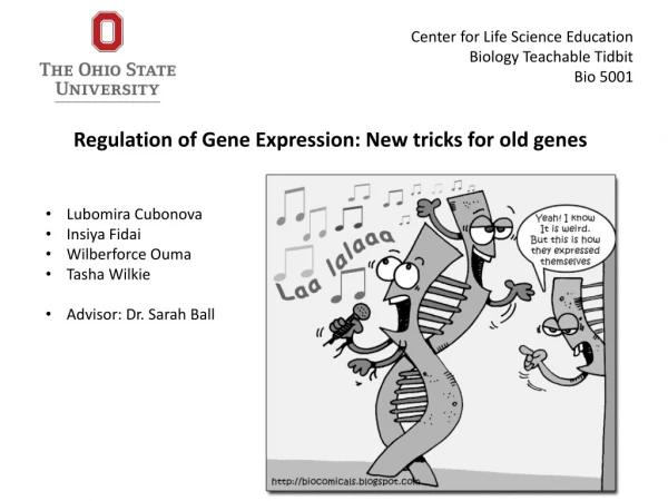 Regulation of Gene Expression: New tricks for old genes