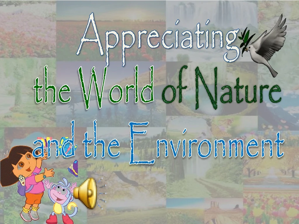 appreciating the world of nature and the environment