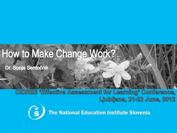 How to Make Change Work ?
