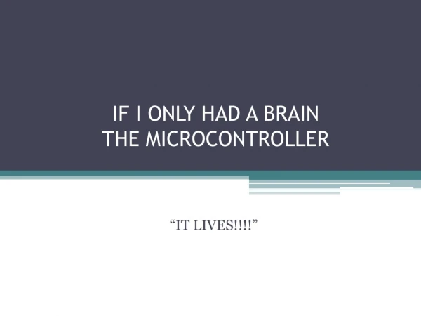 IF I ONLY HAD A BRAIN THE MICROCONTROLLER