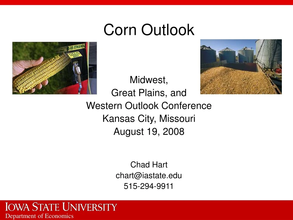 corn outlook