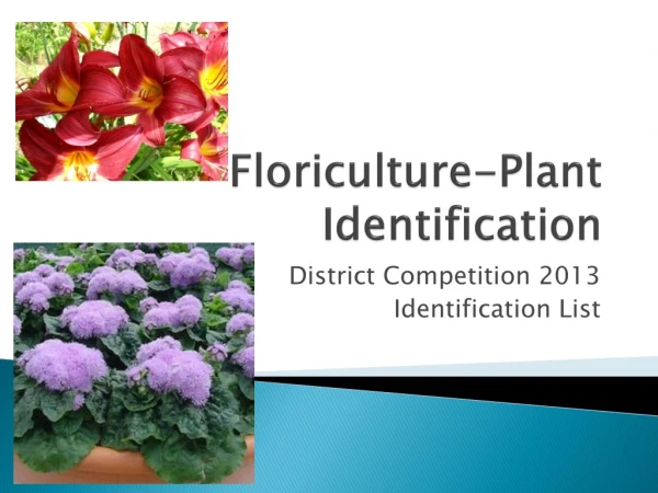 Floriculture-Plant Identification