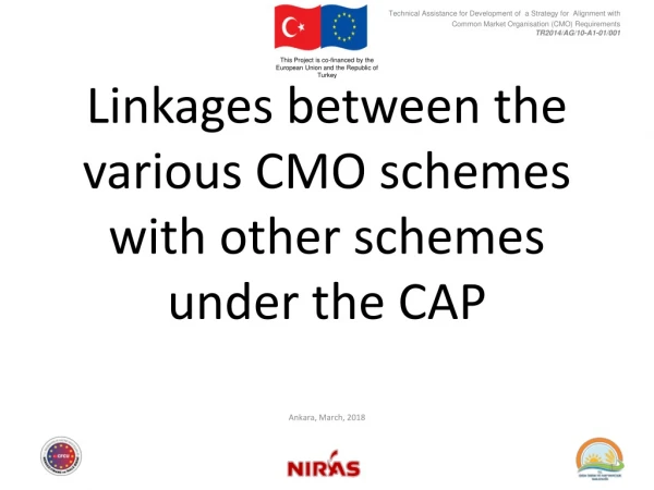 Linkages between the various CMO schemes with other schemes under the CAP