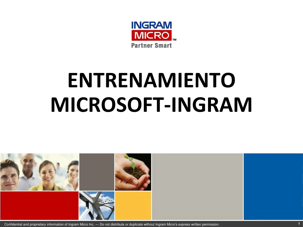 entrenamiento microsoft ingram