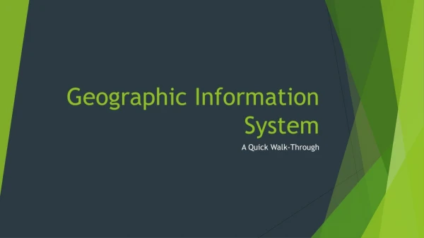 Geographic Information System