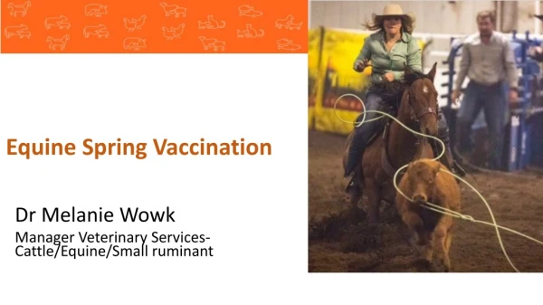 Dr Melanie Wowk Manager Veterinary Services- Cattle/Equine/Small ruminant