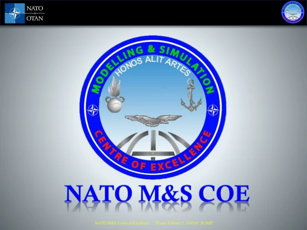 NATO M&amp;S COE