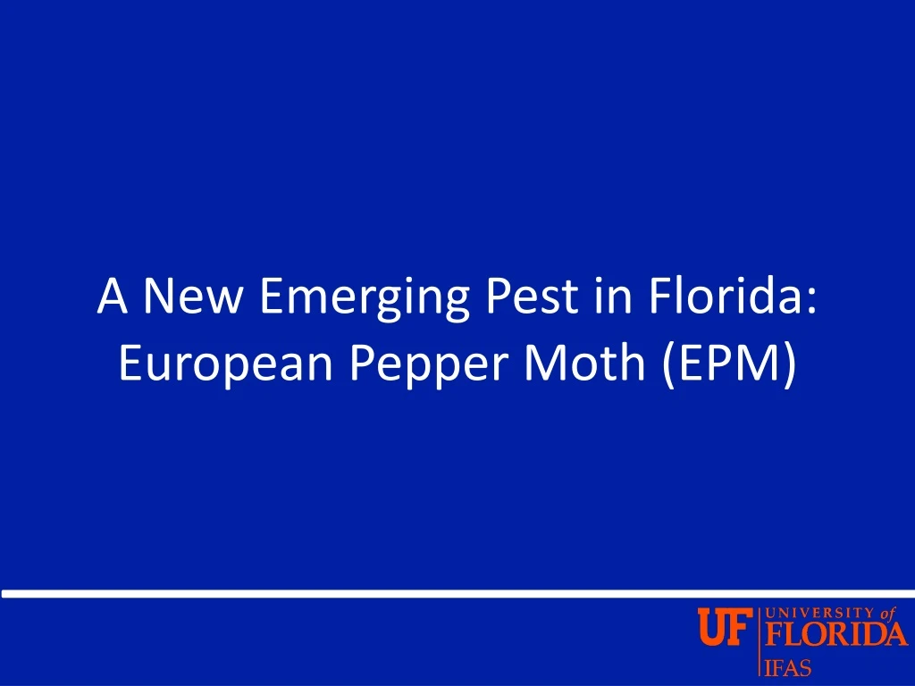 a new emerging pest in florida european pepper moth epm
