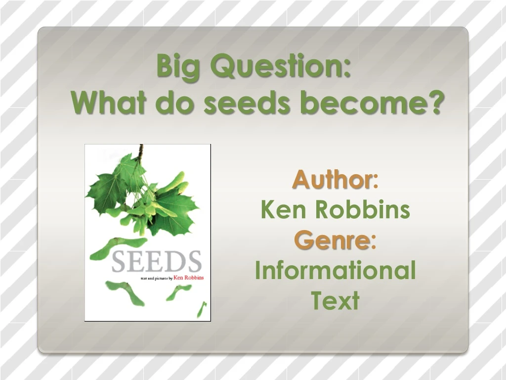 big question what do seeds become