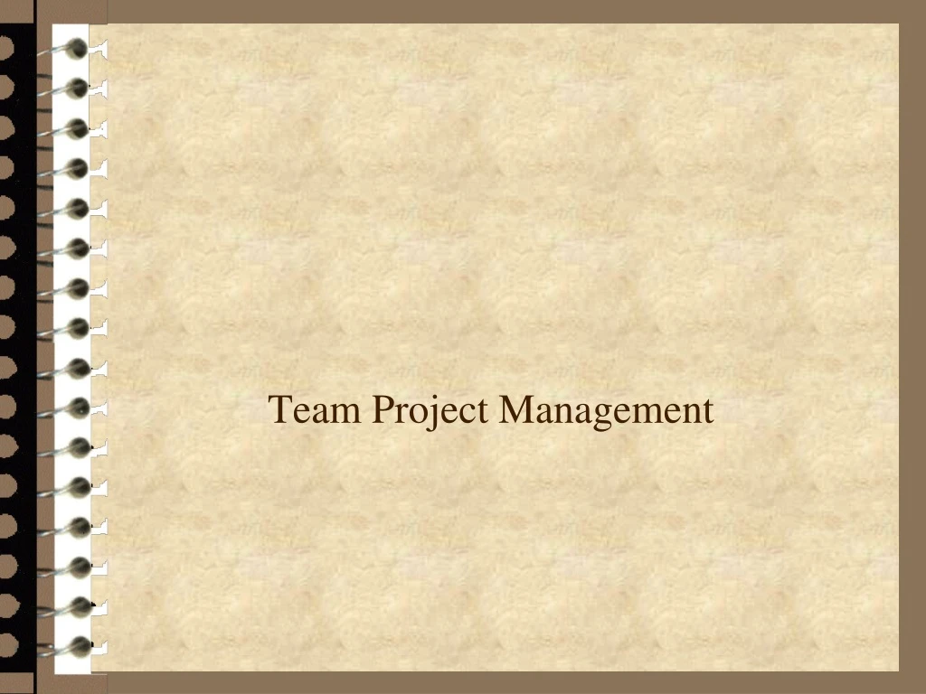 team project management