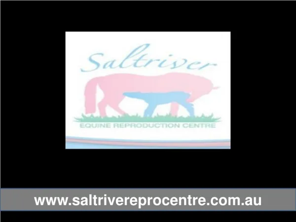 Saltriver Reproduction Centre - Facilities