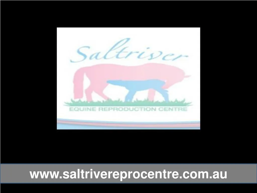 www saltrivereprocentre com au