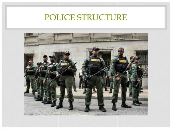 Police Structure