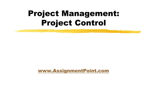 Project Management: Project Control