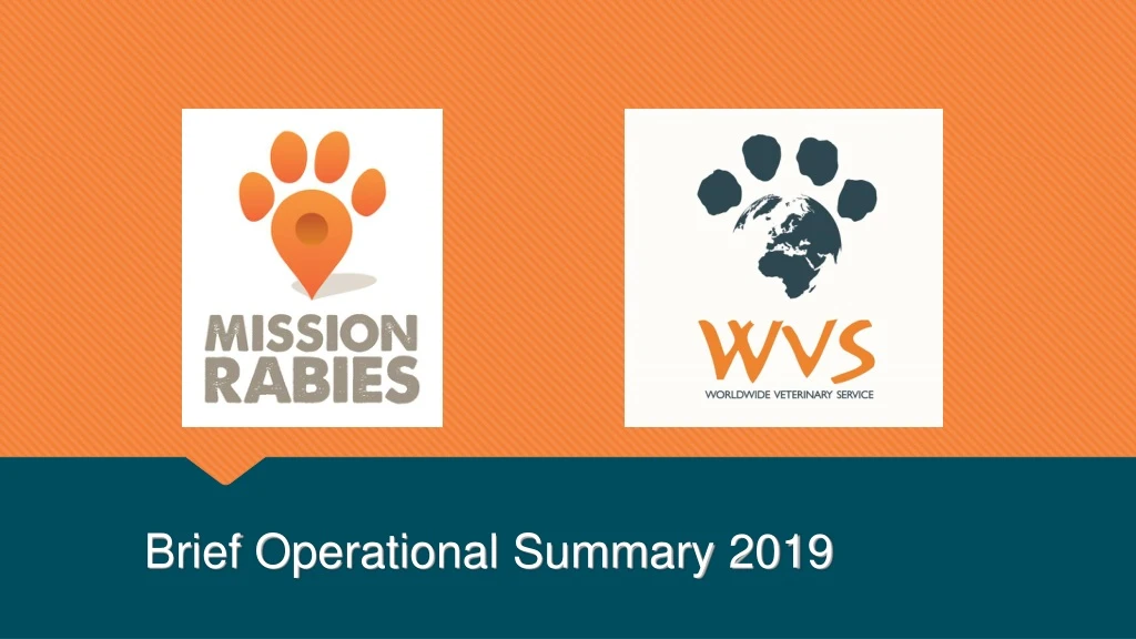 brief operational summary 2019