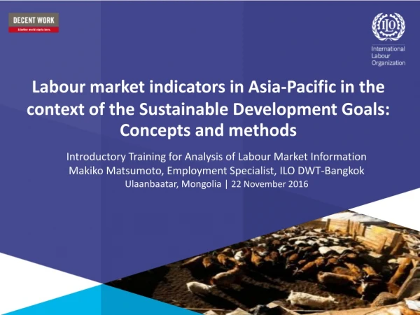 Introductory Training for Analysis of Labour Market Information